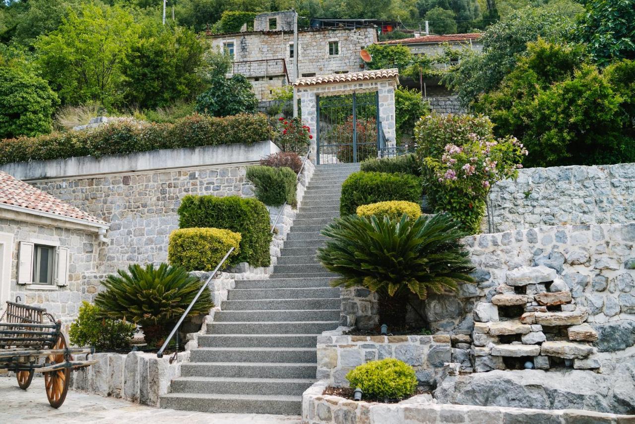 Villa Dub Kotor Zewnętrze zdjęcie